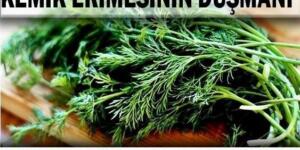 Kansızlık ve şeker hastalığına birebir ‼️ Derdi veren Allah dermanı yanında vermiş