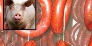 Ünlü markanın sucuğunda d’omuz eti tespit edildi