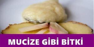 Uzun yaşamak isteyenler. Mu cize gibi bitki.