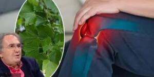 İbrahim Saraçoğlu’ndan inatçı eklem ve kas a’ğrıları i’çin ş’ifalı bir kür!