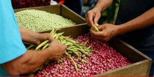 Uzmanlar son dönemde