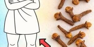 Her kadın karanfilin şu güce sahip olduğunu bilmelidir.