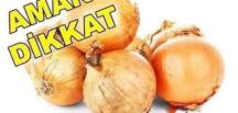 Kuru soğandan bulaşıyor