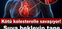 K’otü kolesterolü sıfırlıyor! Suya bekleyip tane tane yiyin, tıkalı damarları hortum gibi açıyor.