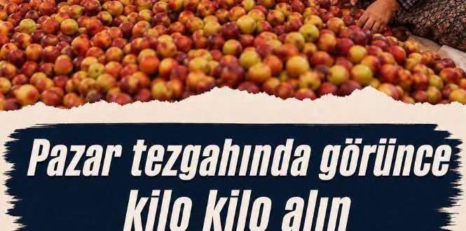 Damarlarınızı sakız gibi esnetiyor